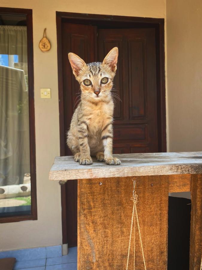 Jimador'S Homestay Gili Trawangan Kültér fotó